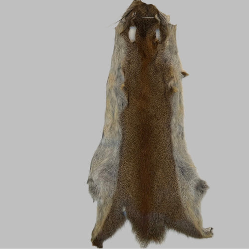 Pine Squirrel Skins- Natural