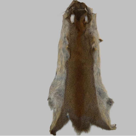 Pine Squirrel Skins- Natural