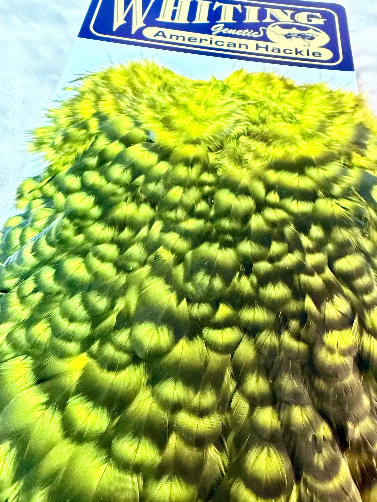 Whiting Farms American Hen Saddle Grizzly Fluor. Yellow Chartreuse 178-SH-E-L