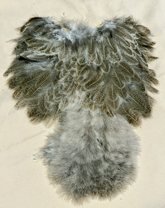 Whiting Farms Soft Hackle Brahma Hen Chickabou Pelt Natural Mottled Gray Wild Type 210-SH-E-L