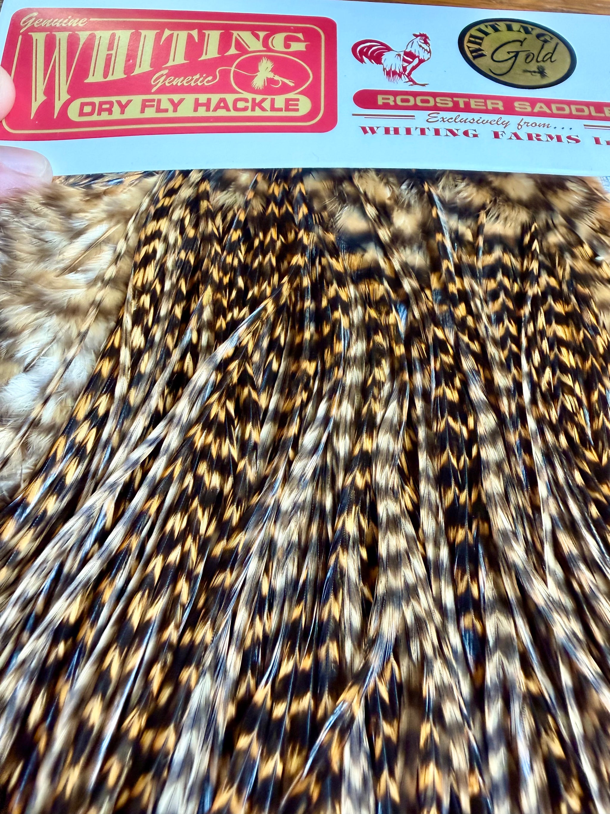 Whiting Farms Gold Rooster Saddle Grizzly Dyed March Brown 790-SH-E-L