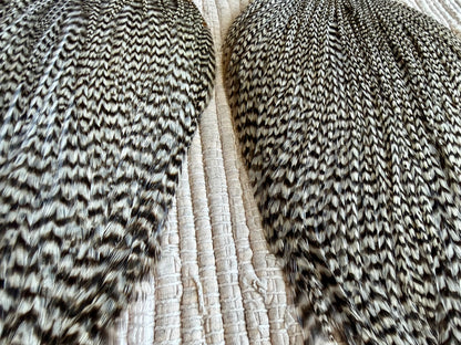 Grizzly Cape Pair (2pack)  851-SH-E-L