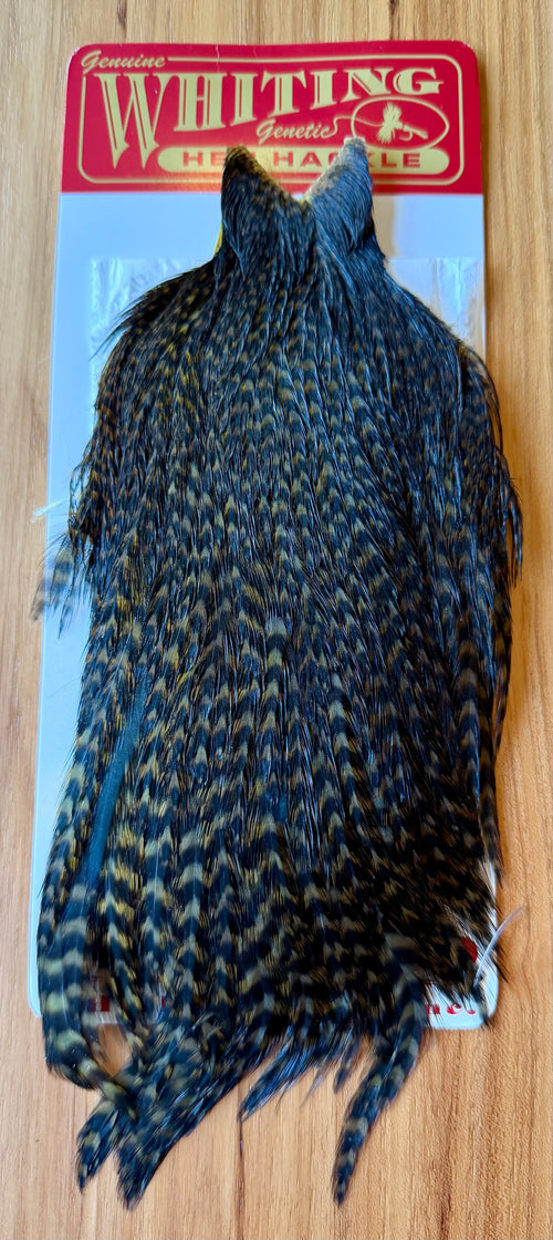 Whiting Farms Hen Cape Grizzly Dyed Dark Olive 393-SH-E-L