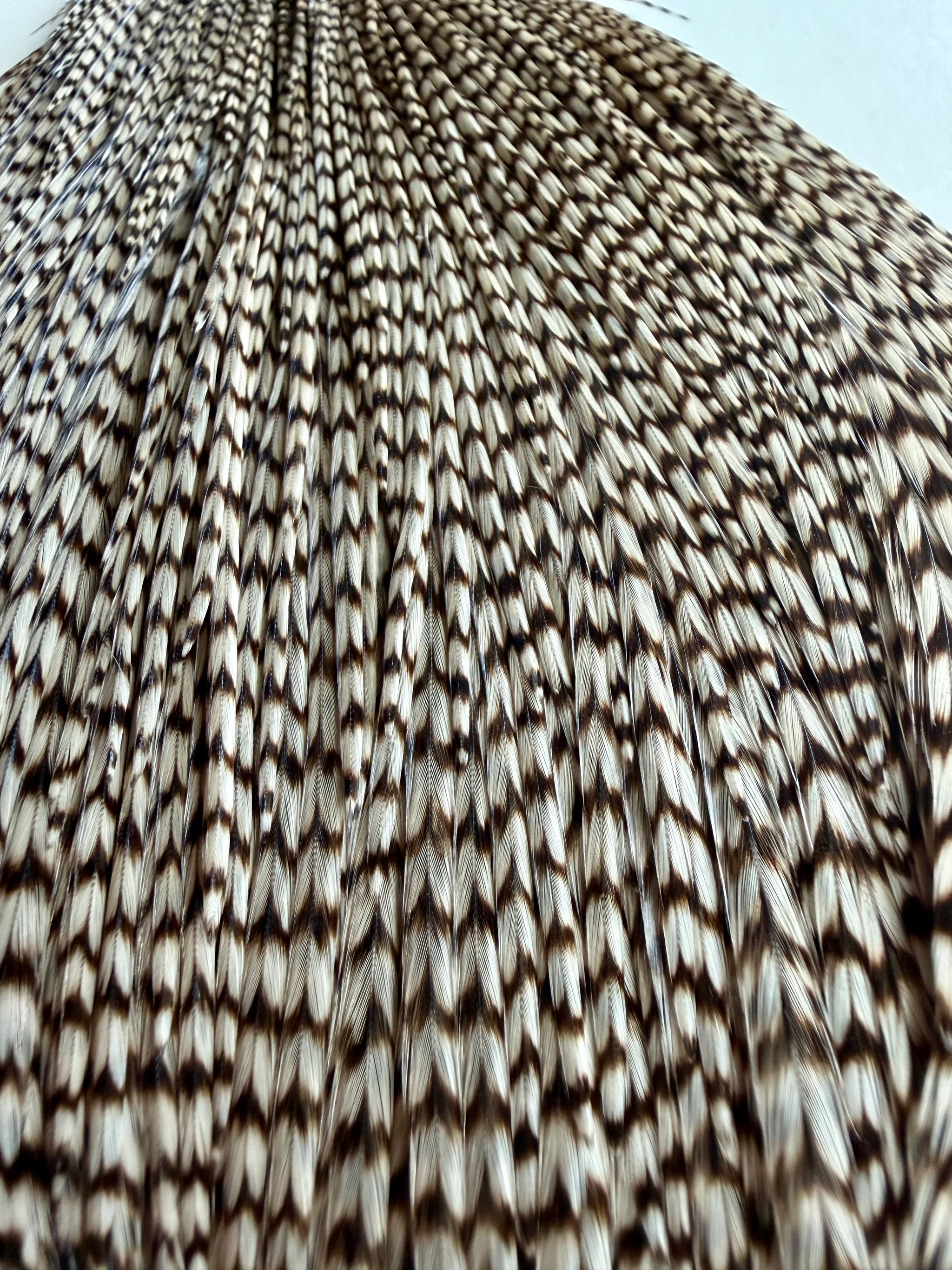 Hoffman Grade 1 Super Cape (dyed) Grizzly 842-SH-E-L