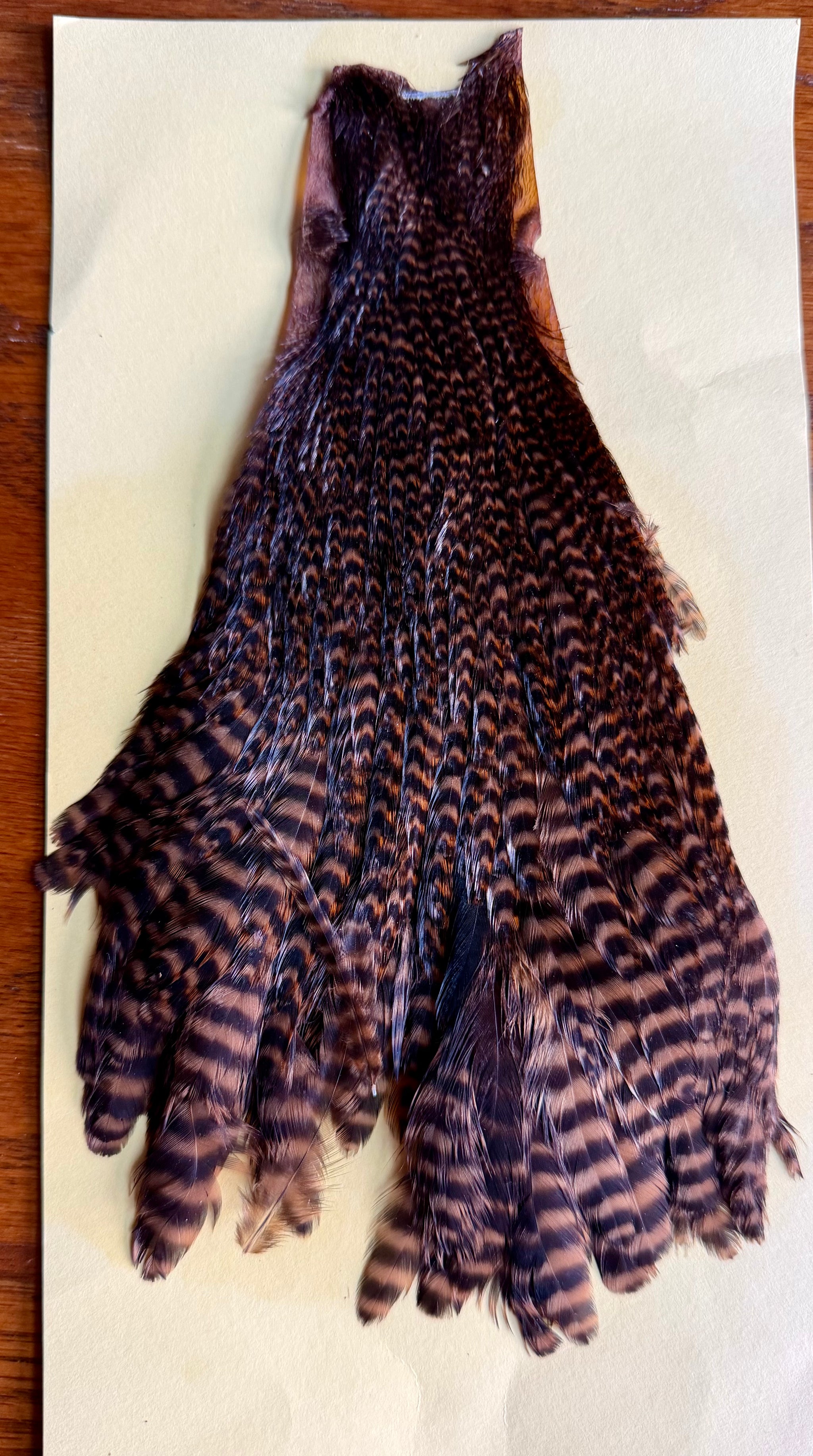 Hareline Dubbin Hen Cape Grizzly Brown 686-SH-E-L