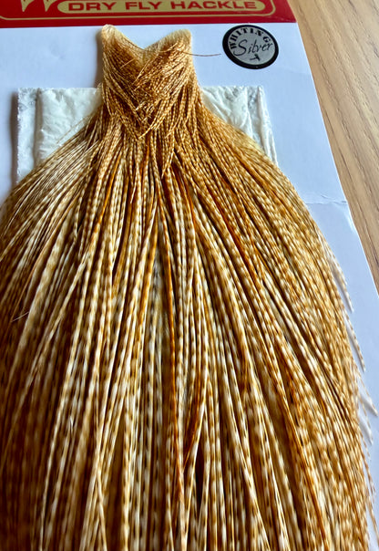 Whiting Farms Silver Cape Barred Medium Ginger 486-SH-E-L
