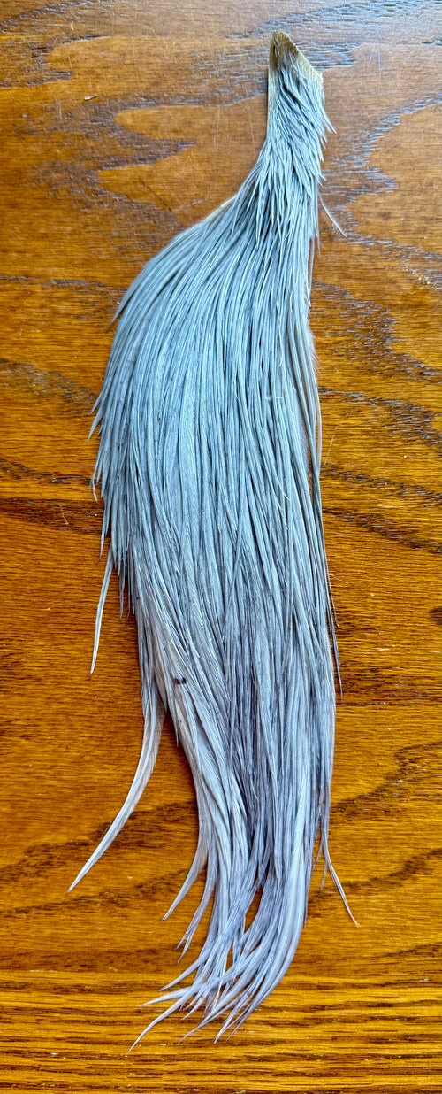 Whiting Half Cape Dun 564-SH-E-L