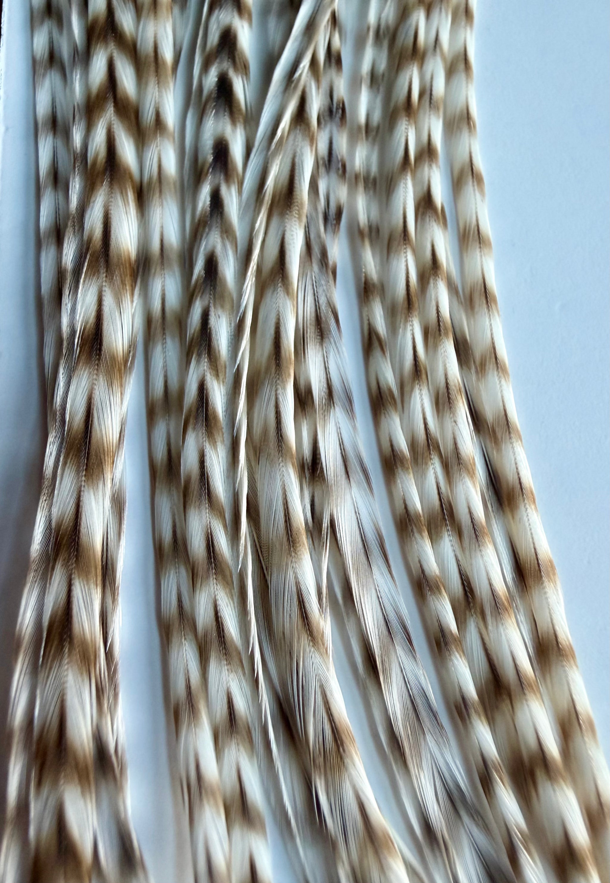 Whiting Dry Fly Hackle 100’s Size 12 Dun Grizzly 822-SH-E-L