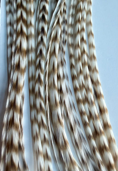 Whiting Dry Fly Hackle 100’s Size 12 Dun Grizzly 822-SH-E-L
