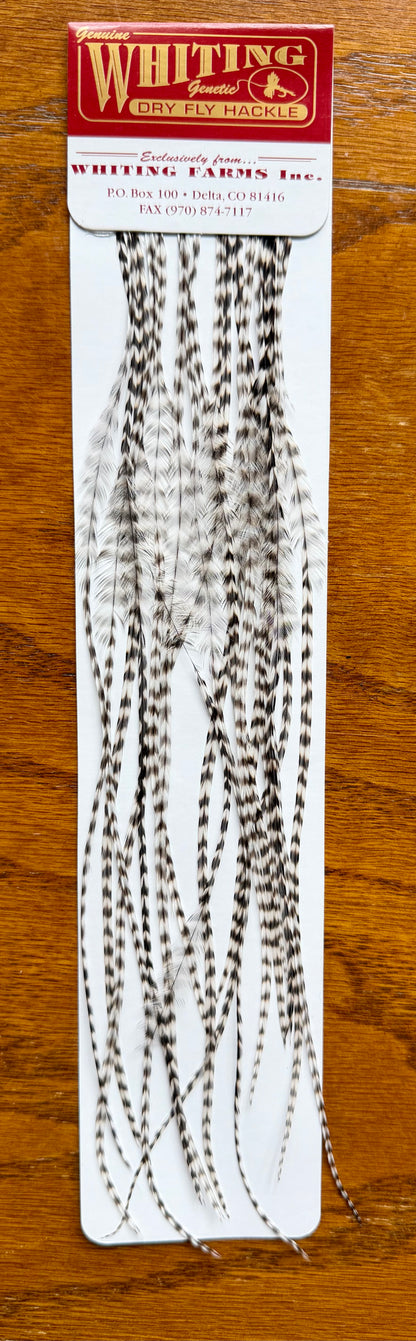 Whiting Dry Fly Hackle 100’s Size 14 Grizzly 496-SH-E-L