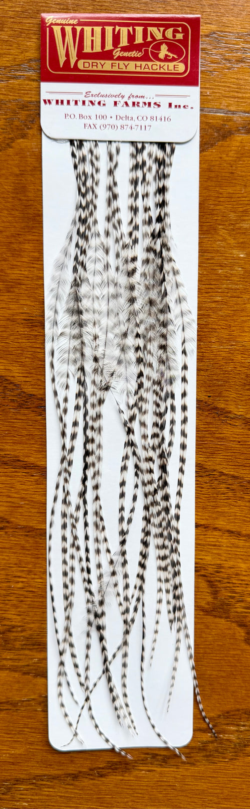 Whiting Dry Fly Hackle 100’s Size 14 Grizzly 496-SH-E-L