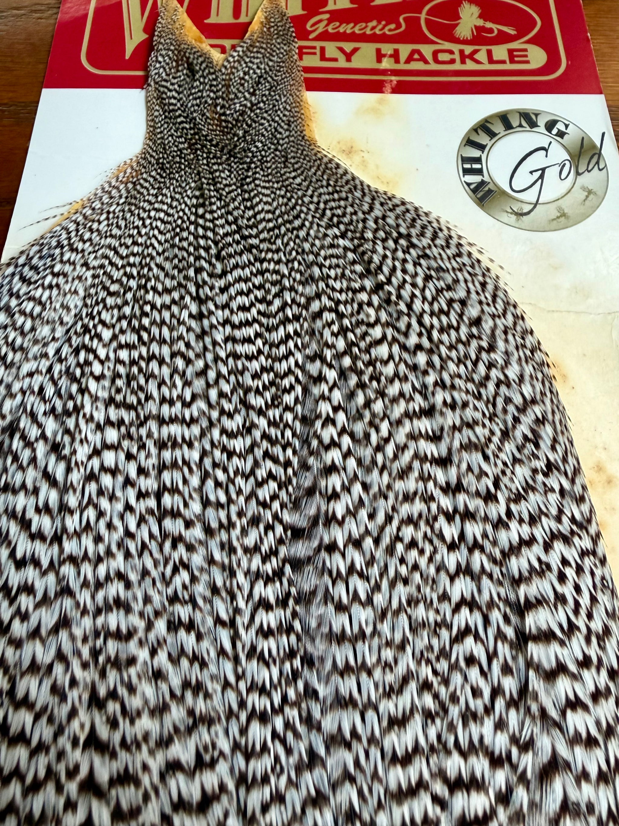 Whiting Gold Grade Rooster Cape Grizzly 788-SH-E-L