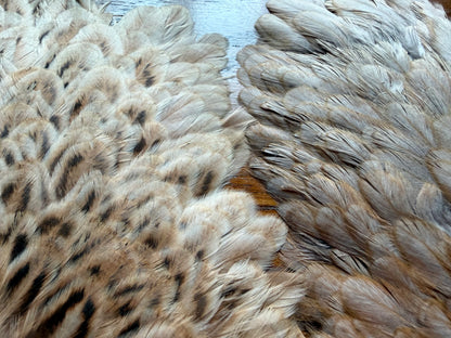Colorado Angler Supply Hen Saddle Ginger (Set of 2) 548-SH-E-L