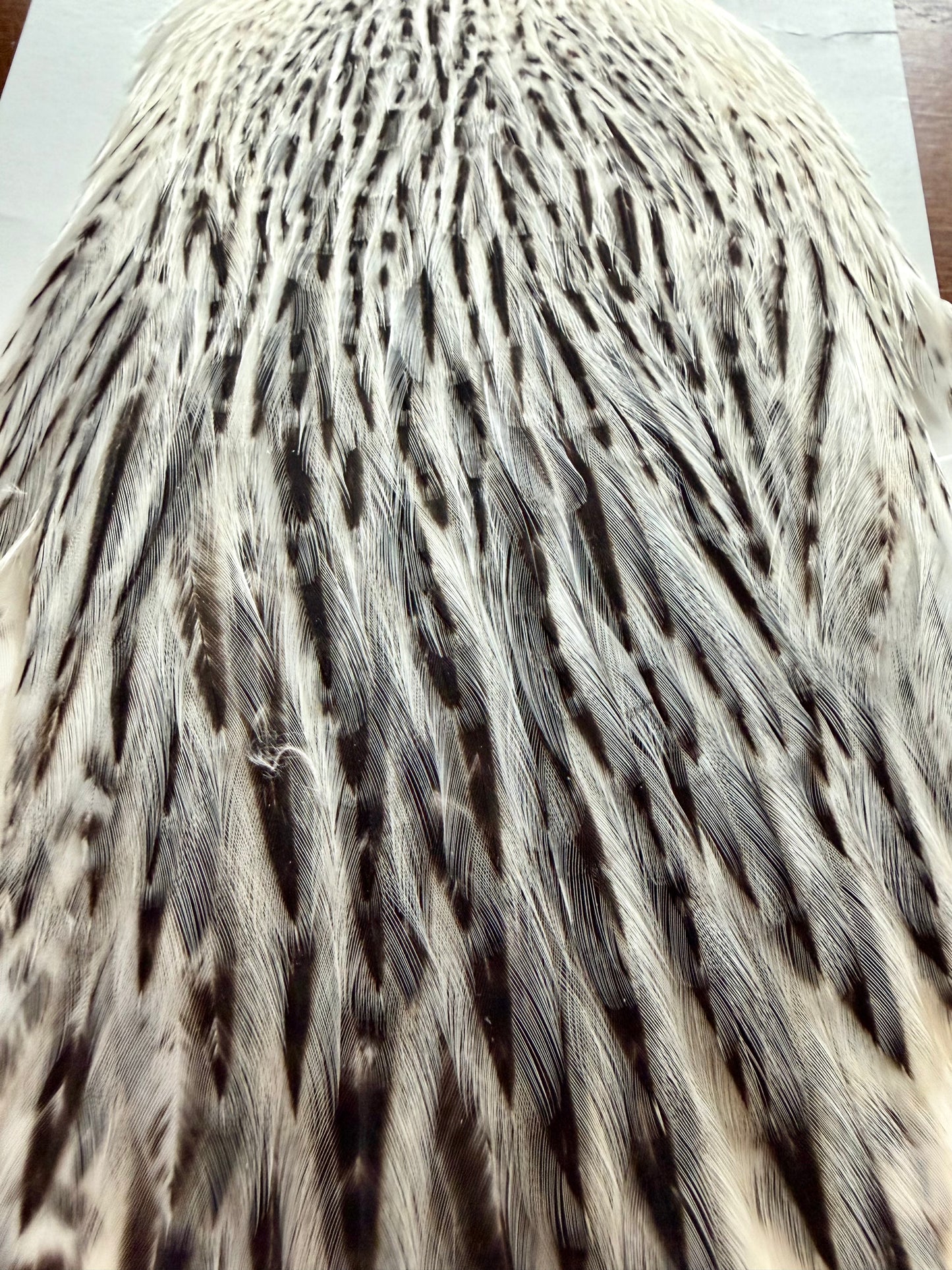 Hoffman Grade 2 Hen Cape Unique Variant 541-SH-E-L