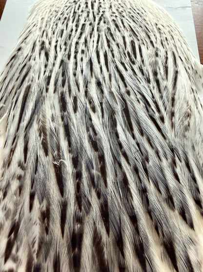Hoffman Grade 2 Hen Cape Unique Variant 541-SH-E-L