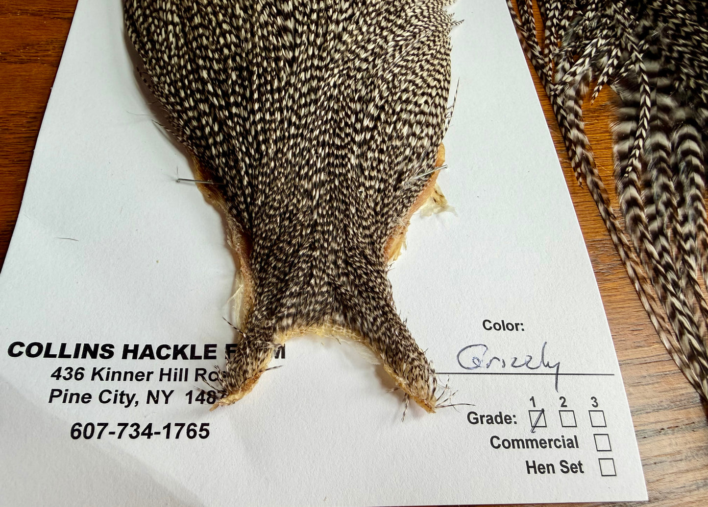 Collin’s Grade 1 Hackle Grizzly Cape And Hackle Set 739-SH-E-L