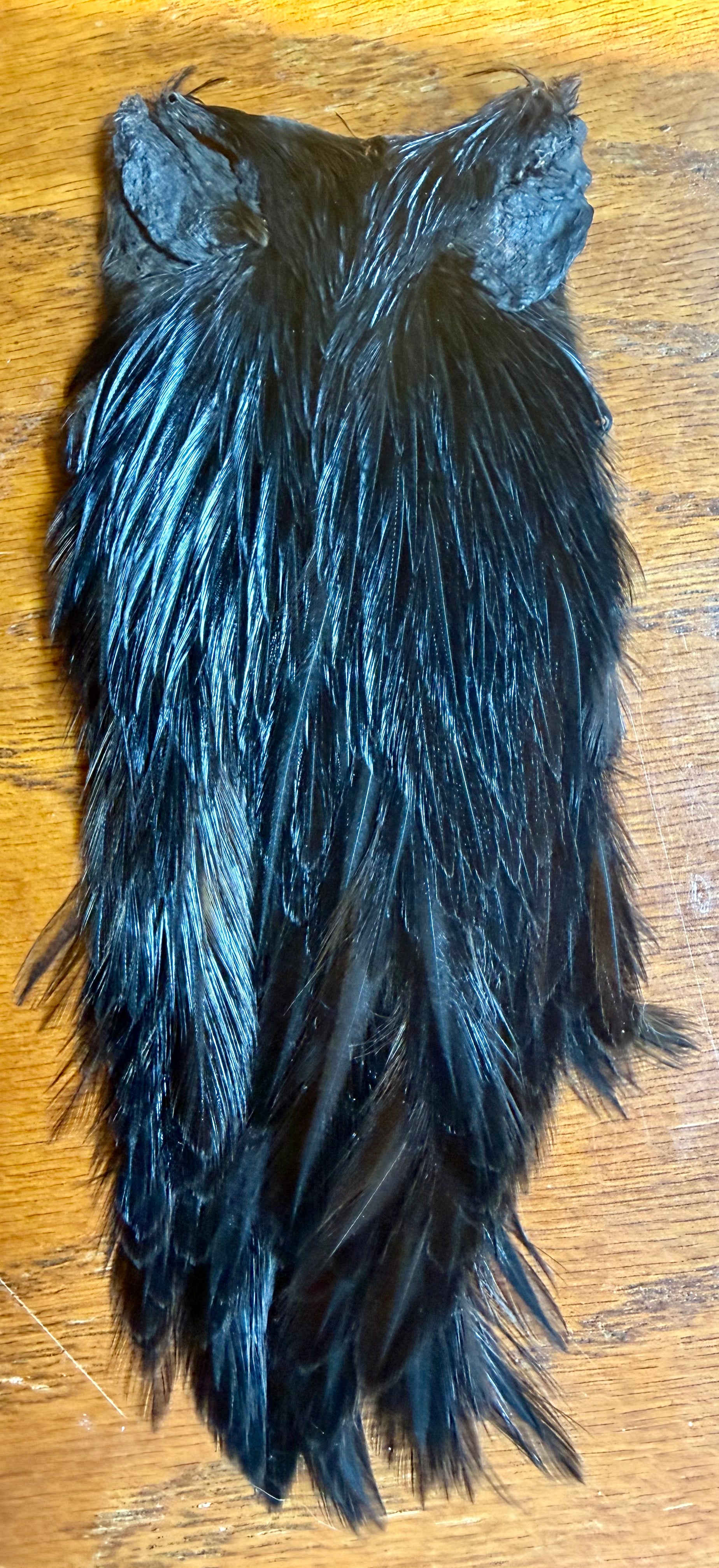 Orvis Rooster Cape Dyed Black 698-SH-E-L