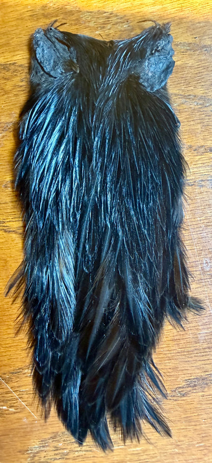 Orvis Rooster Cape Dyed Black 698-SH-E-L