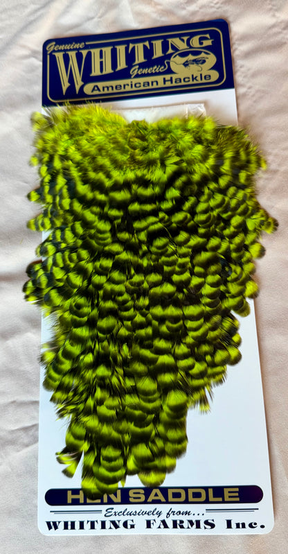 Whiting Farms American Hen Saddle Grizzly dyed Fluor. Green Chartreuse 179-SH-E-L