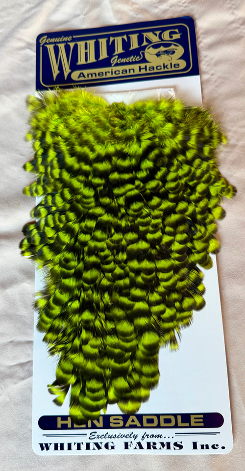 Whiting Farms American Hen Saddle Grizzly dyed Fluor. Green Chartreuse 179-SH-E-L
