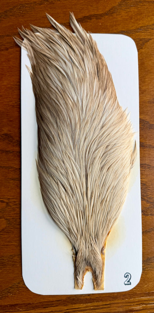 Bobs Hackle Farm #2 Rooster Cape Medium Dun 667-SH-E-L