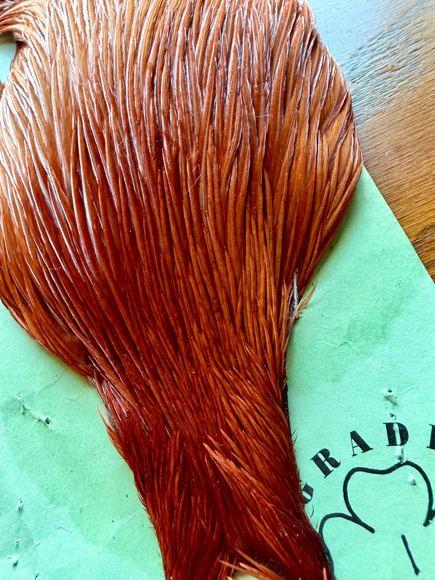 Shannon’s Fancy Hackle Grade 1 Cape Brown 559-SH-E-L