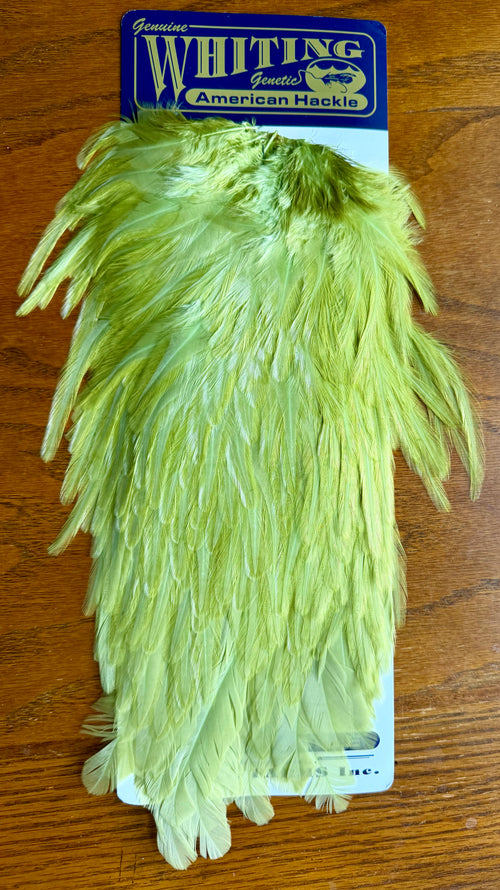 Whiting American Hackle Saddle White Dyed Olive 742-SH-E-L