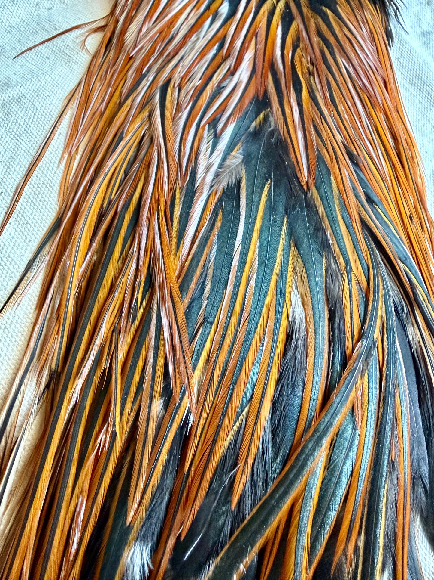 Rooster Saddle #2 Grade, Furnace 589-SH-E-L