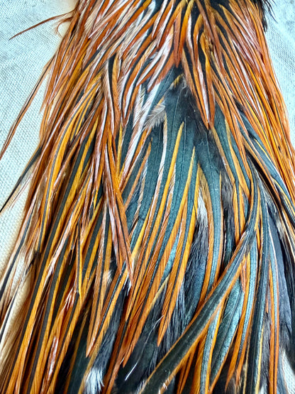 Rooster Saddle #2 Grade, Furnace 589-SH-E-L