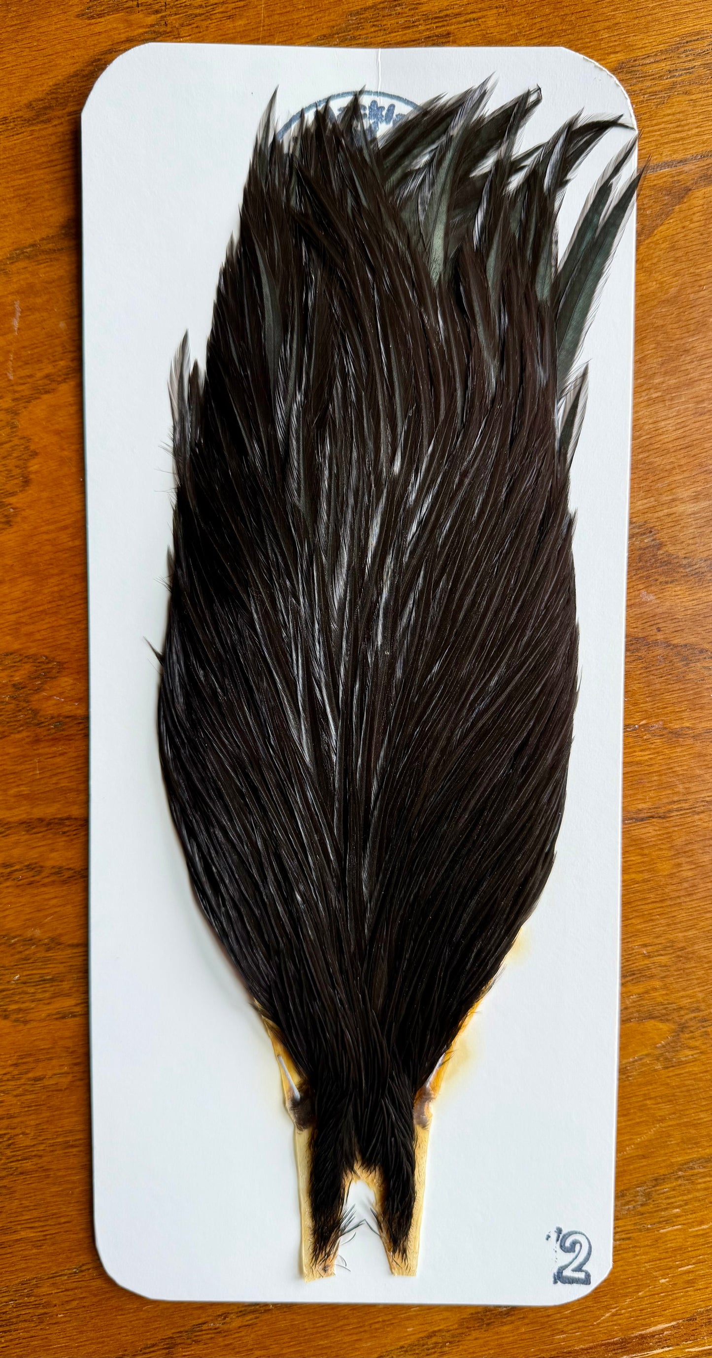 Bobs Hackle Farm #2 Rooster Cape Black 666-SH-E-L