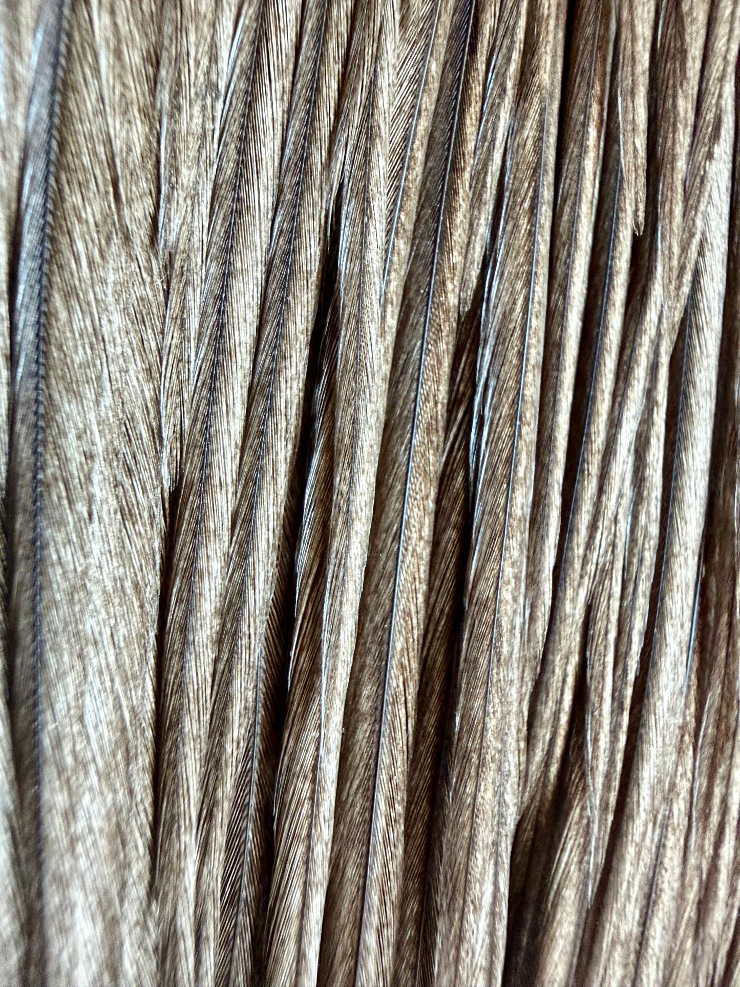 Whiting Hebert Miner Silver Grade Cape Dark Gray Dun 644-SH-E-L