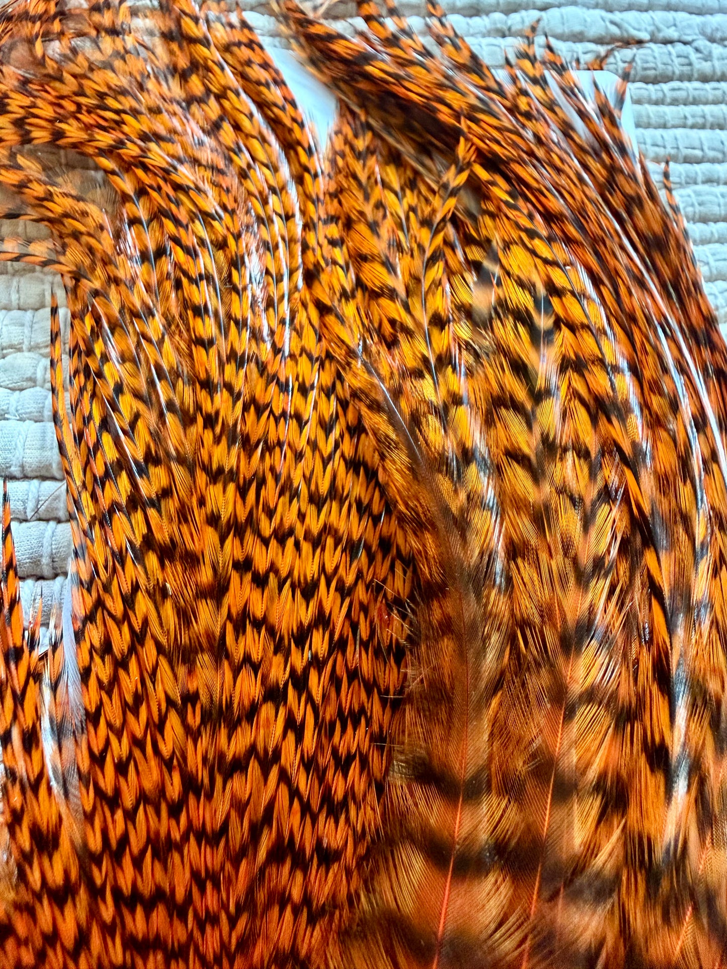 Whiting Farms Bugger Pack Grizzly Dyed Burnt Orange714-SH-E-L
