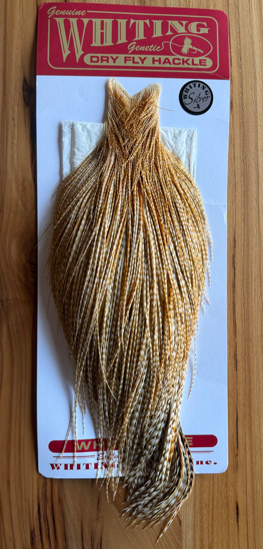 Whiting Farms Silver Cape Barred Medium Ginger 486-SH-E-L