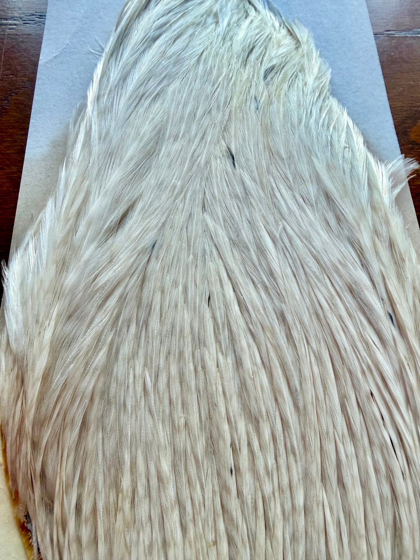 Metz Cape Grade #2 Barred Cream 426-SH-E-L