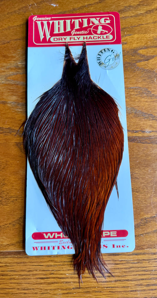 Whiting Gold Grade Rooster Cape Coachman Brown 620-SH-E-L