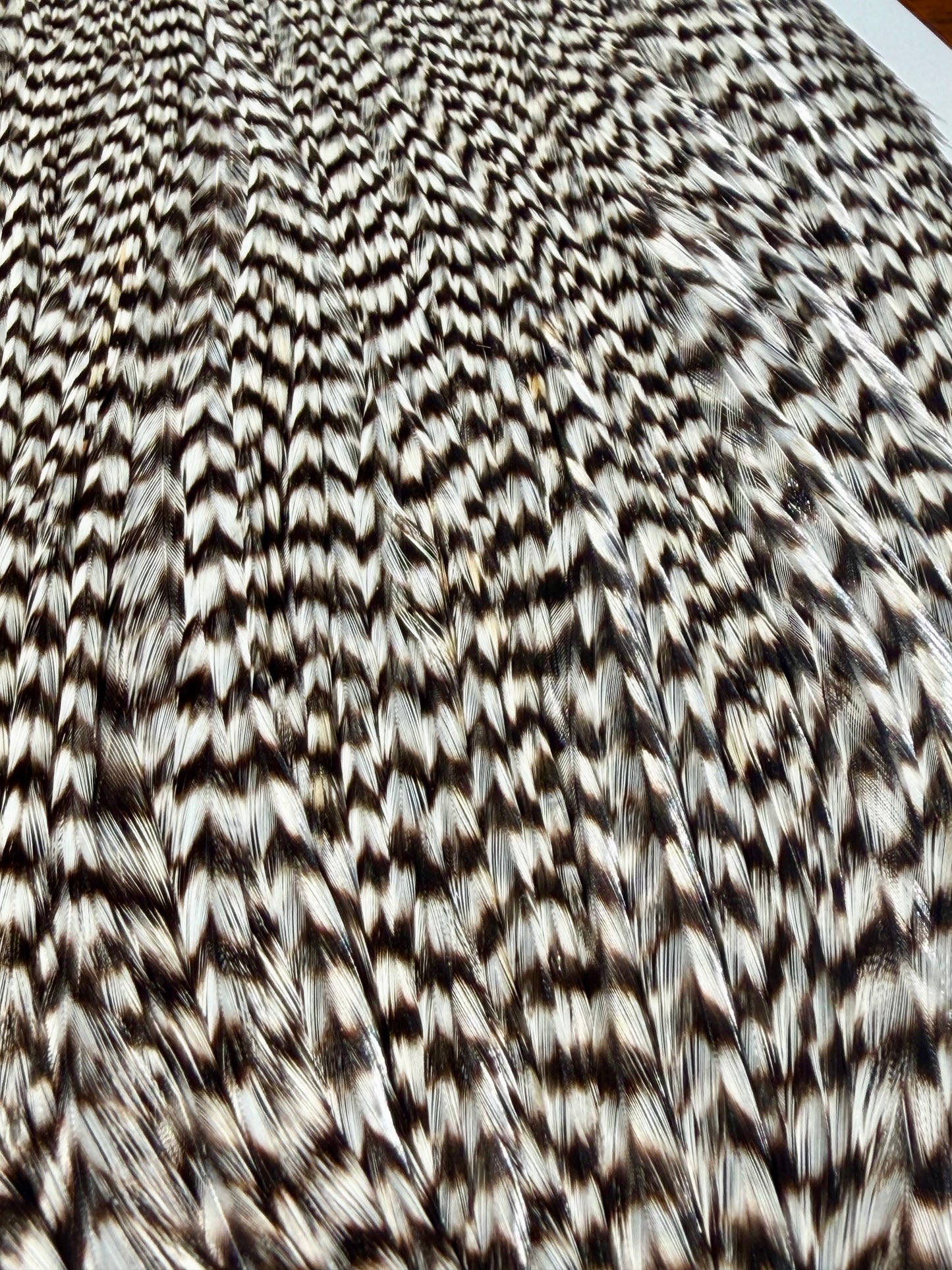 Whiting Farms Pro Grade Cape Grizzly 672-SH-E-L