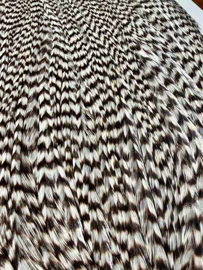 Whiting Farms Pro Grade Cape Grizzly 672-SH-E-L