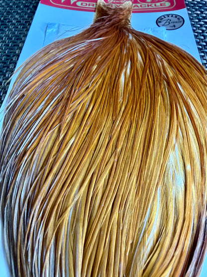 Whiting Dry Hackle Bronze Grade Cape Medium Ginger 585-SH-E-L