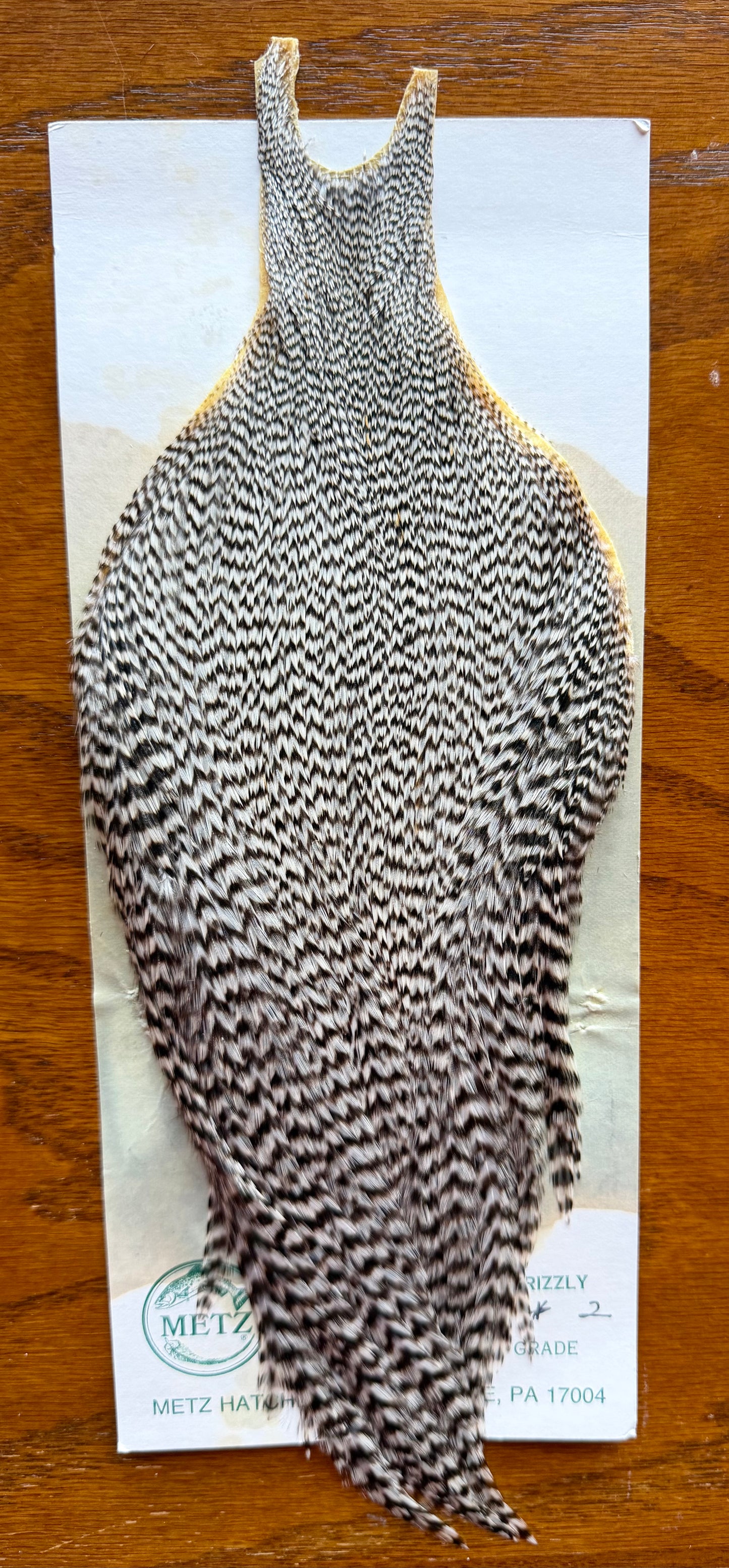 Metz Grade #2 Cape Grizzly 422-SH-E-L