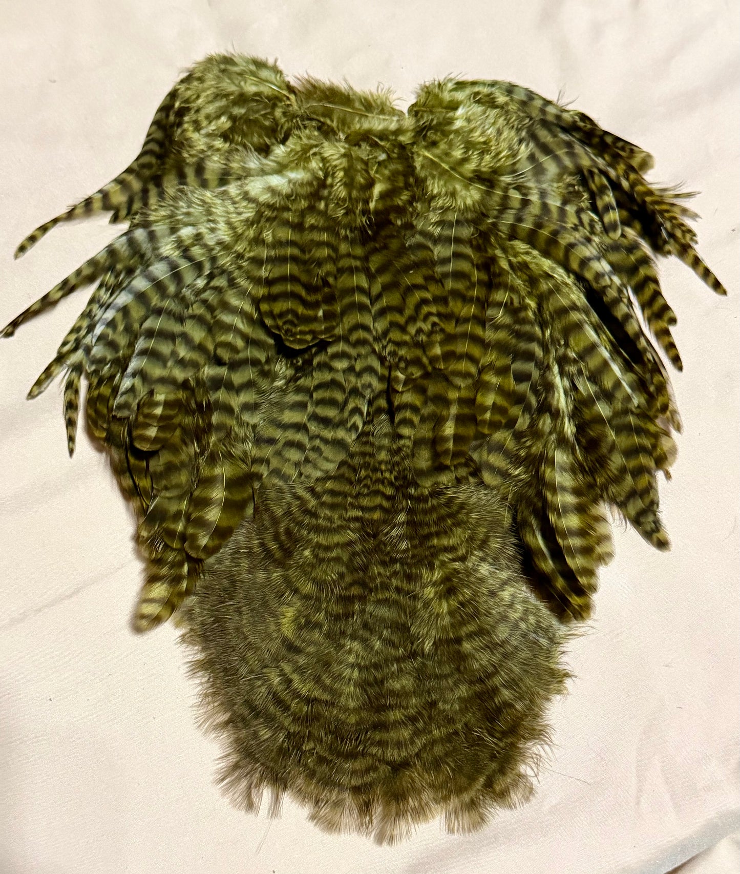 Whiting Farms Soft Hackle Brahma Hen Chickabou Pelt Grizzly dyed Dark Olive 216-SH-E-L