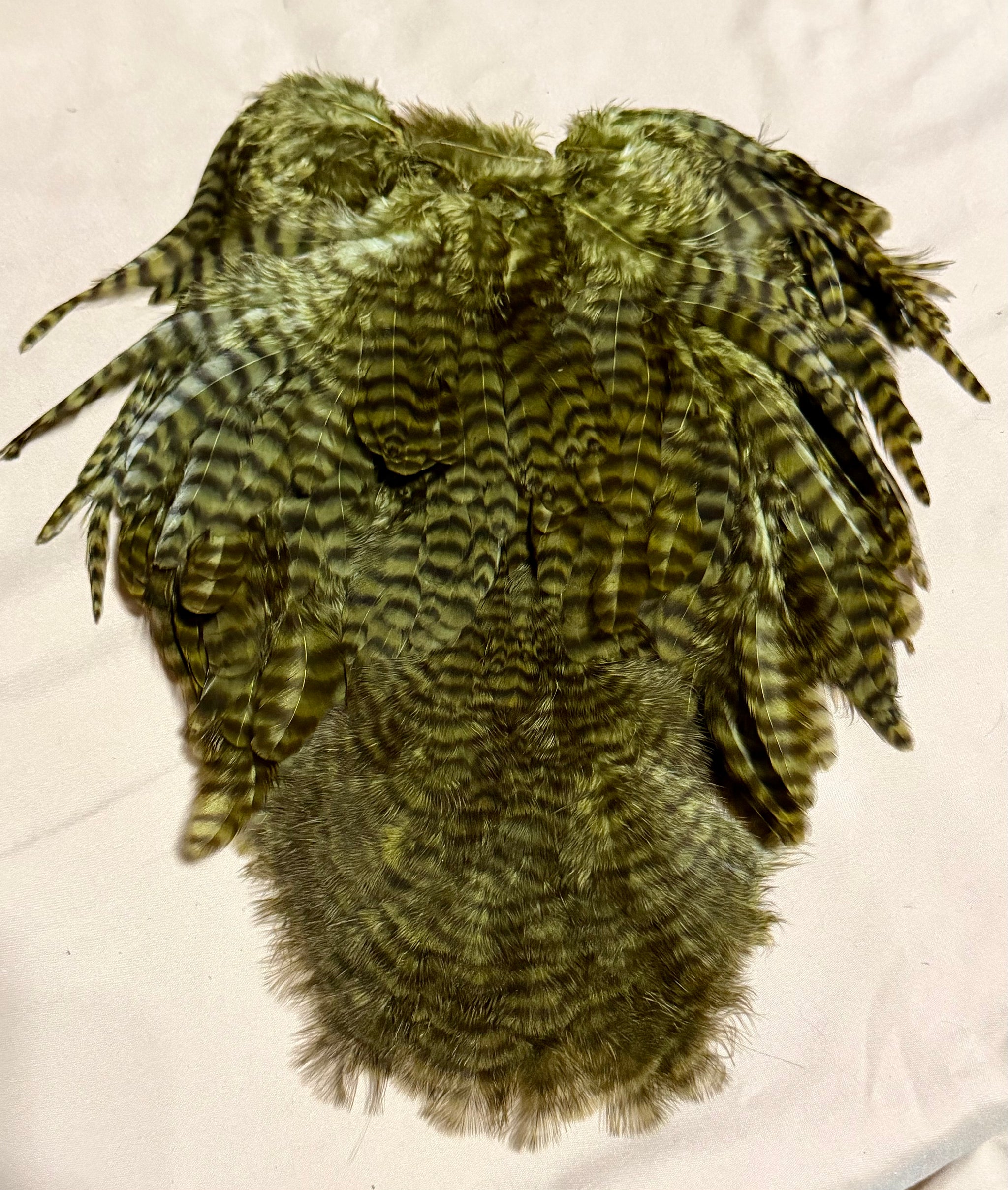 Whiting Farms Soft Hackle Brahma Hen Chickabou Pelt Grizzly dyed Dark Olive 216-SH-E-L