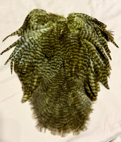 Whiting Farms Soft Hackle Brahma Hen Chickabou Pelt Grizzly dyed Dark Olive 216-SH-E-L