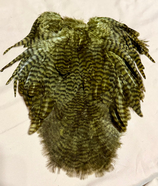 Whiting Farms Soft Hackle Brahma Hen Chickabou Pelt Grizzly dyed Dark Olive 216-SH-E-L