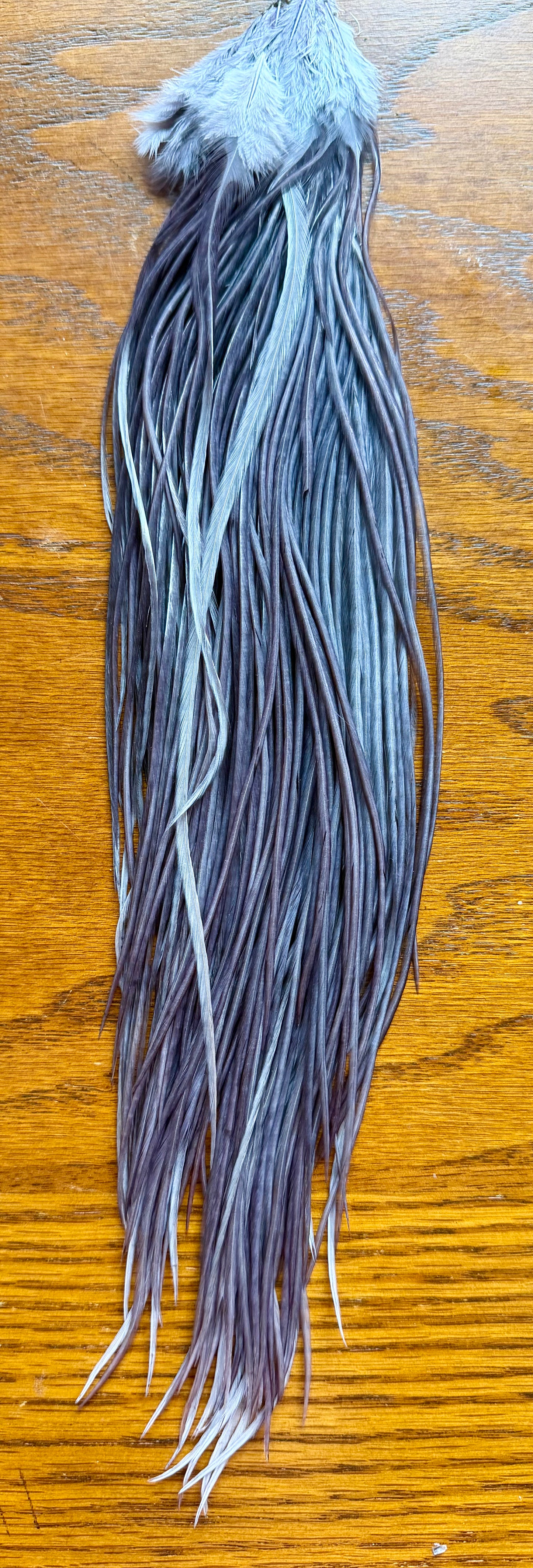 Whiting Half Cape Dark Dyed Dun 565-SH-E-L