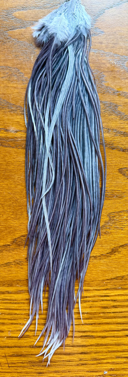 Whiting Half Cape Dark Dyed Dun 565-SH-E-L