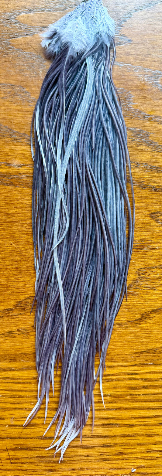 Whiting Half Cape Dark Dyed Dun 565-SH-E-L