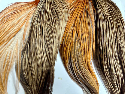 Whiting Farms Intro Hackle Pack - Four 1/2 Capes All Colors/Mixed 662-SH-E-L