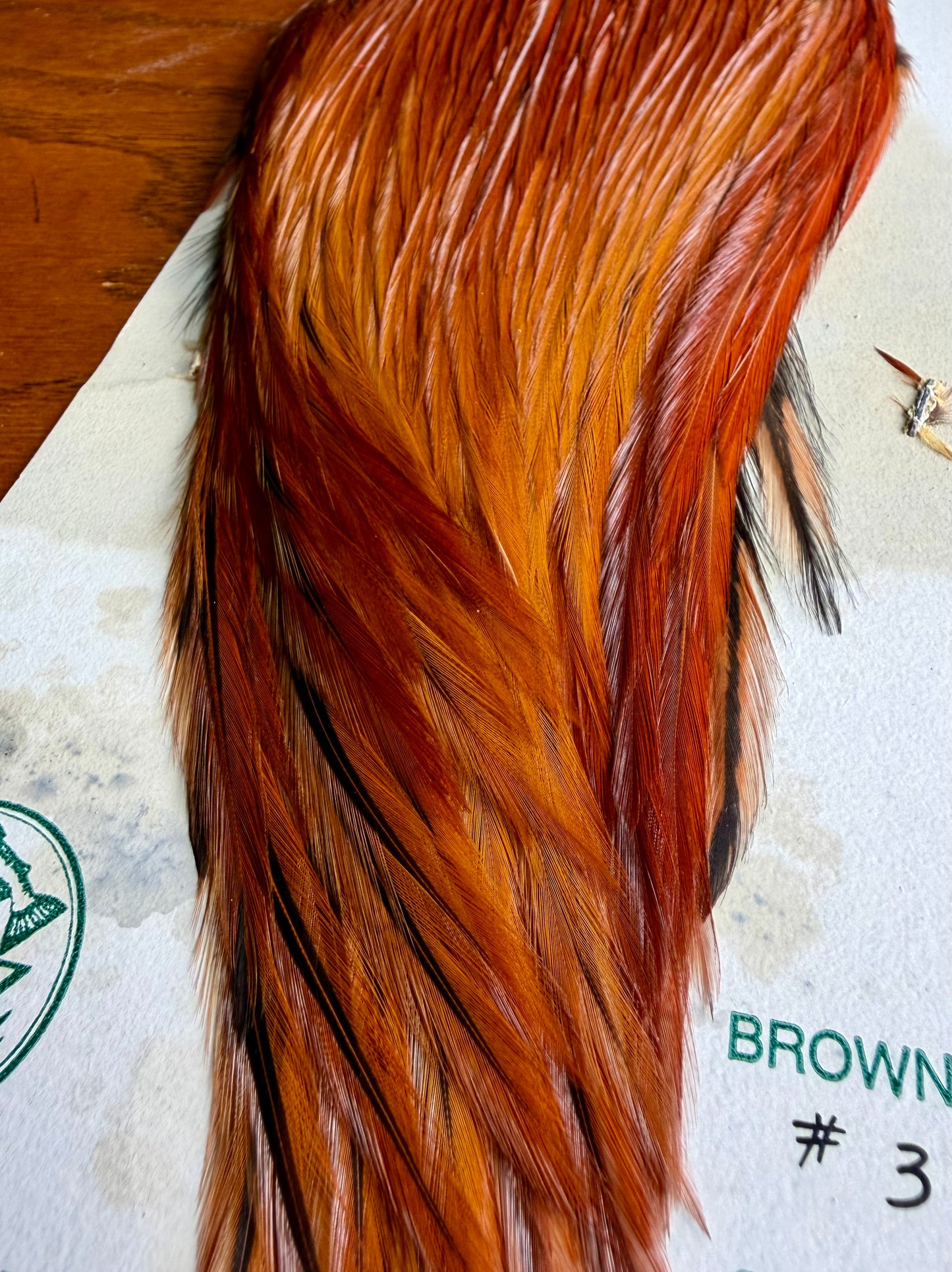 Metz Cape Grade #3 Brown 615-SH-E-L