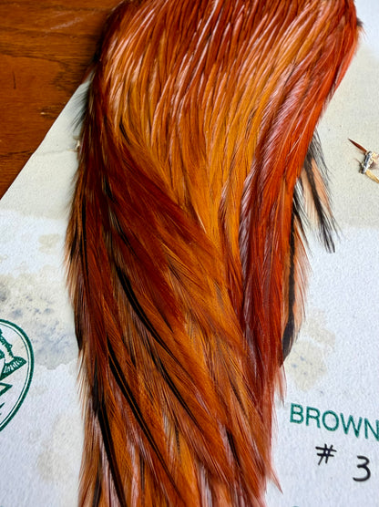 Metz Cape Grade #3 Brown 615-SH-E-L