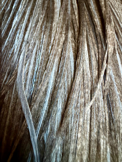 Whiting Hebert Miner Bronze Cape Dark Gray Dun 647-SH-E-L